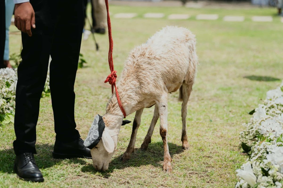 Vos rêves, notre inspiration